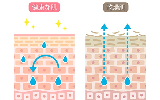 イラスト
